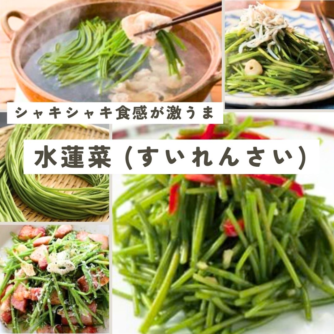 台湾の人気野菜「水蓮菜（すいれんさい）」おすすめレシピ＆食べ方