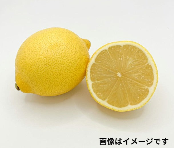 輸入レモン(小粒)1個 Lemon