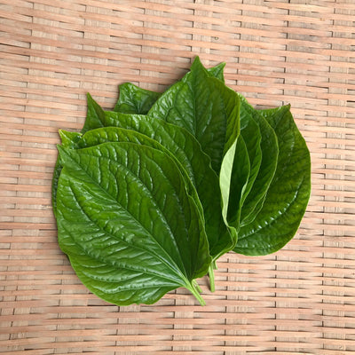 川辺農園 ハイゴショウの葉(ラ・ロット)10g