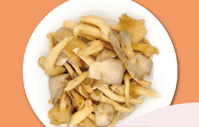 嘉義優鮮 きのこチップス (ひらたけ) 45g