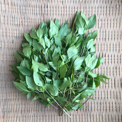 川辺農園 アジアンスイートバジル/ホーラパー/フンクエ/九層塔 18g Thai Sweet Basil