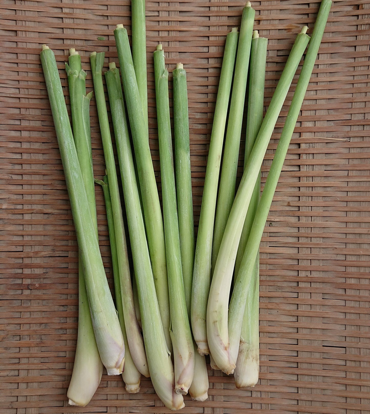 川辺農園 レモングラス 50g Fresh Lemon Grass