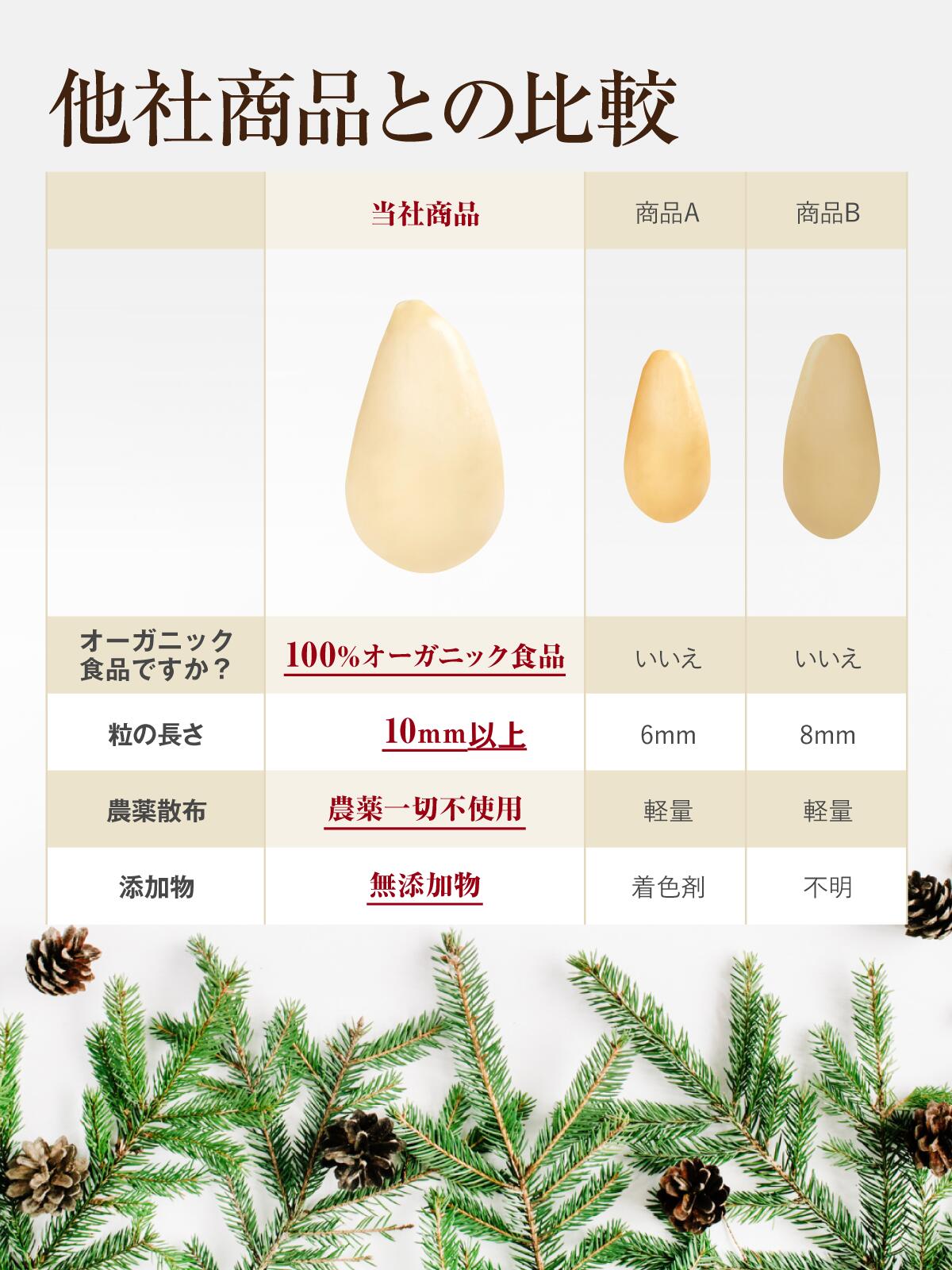 meiro 有機松の実110g