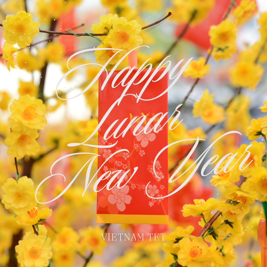 ベトナムの祝祭日「テト」は2026年2月17日。テト休暇をパッタイでお祝いしよう