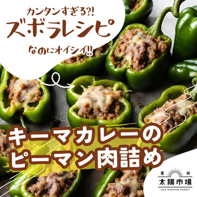 超簡単！ピーマンの肉詰め（キーマカレー味）のレシピを紹介