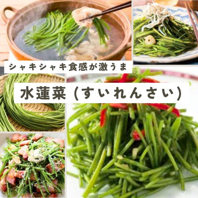 台湾の人気野菜「水蓮菜（すいれんさい）」おすすめレシピ＆食べ方