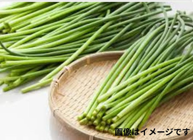 ニンニクの芽 1束