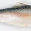 PADMA ヒルサ（イリシュ）1kg - 1.2㎏ Ilish Whole