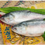 PADMA ヒルサ（イリシュ）1匹（1kg - 1.2kg）Ilish Whole