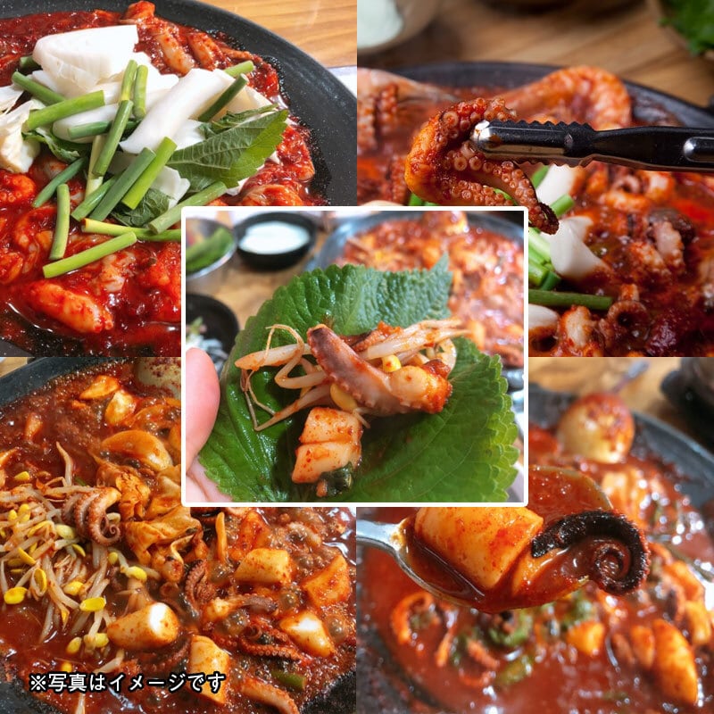 ヨギジョア ホンスチュクミ チュクミ 500g