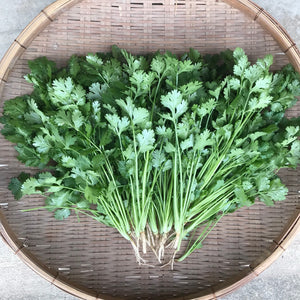 川辺農園 香菜（コリアンダー／パクチー）40g Fresh Coriander