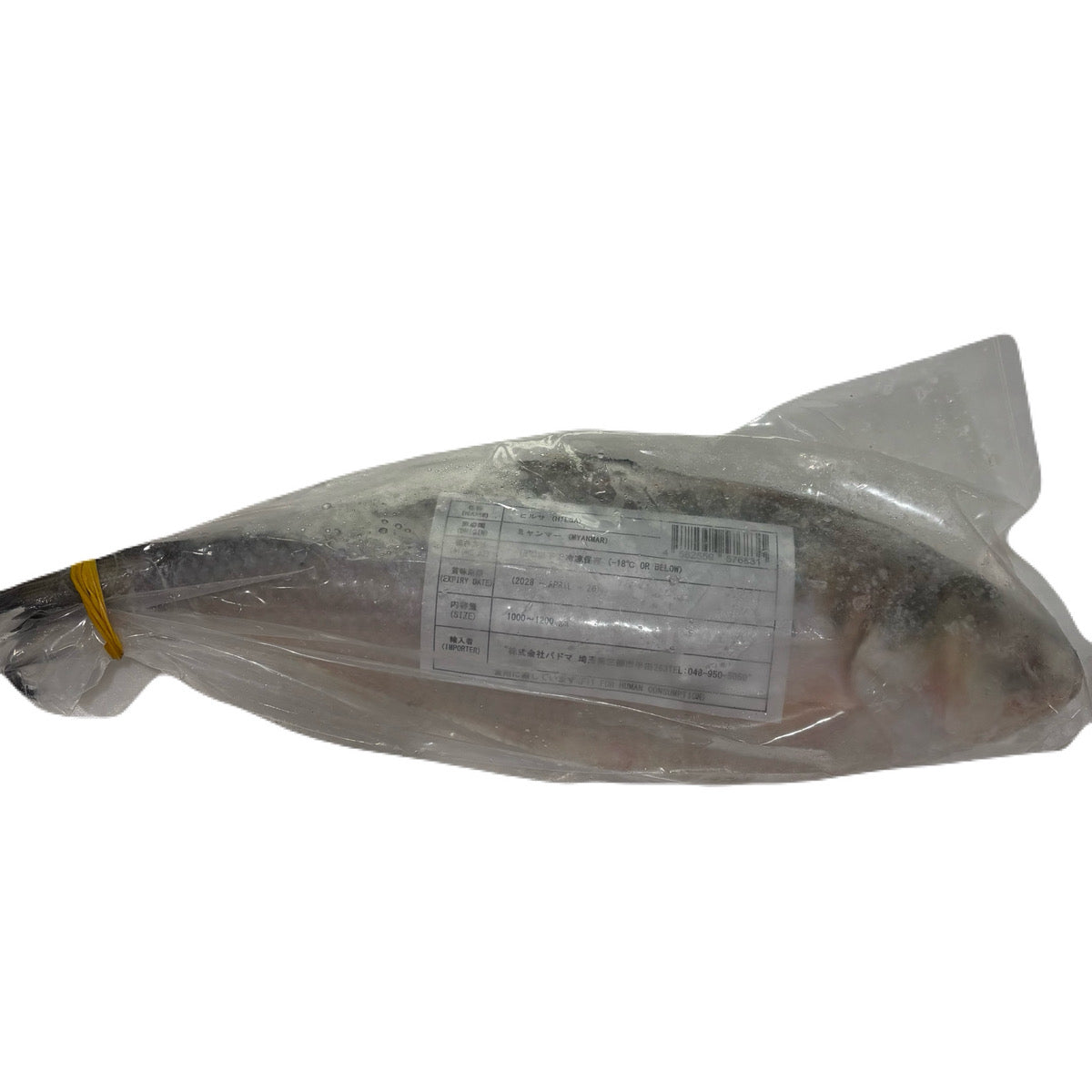 PADMA ヒルサ（イリシュ）1kg - 1.2㎏ Ilish Whole