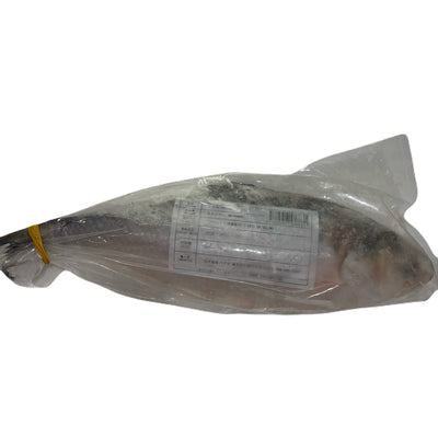 PADMA ヒルサ（イリシュ）1kg - 1.2㎏ Ilish Whole
