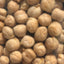 PADMA 白ひよこ豆 400g Chick Peas (Garbanzo)