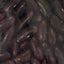 PADMA レッドルビア (赤インゲン豆 RED RUBIA) 400g Red Kidney Beans