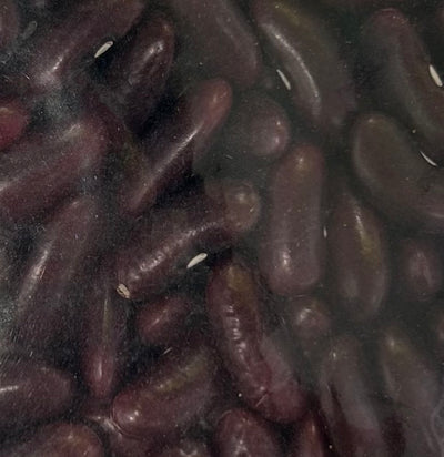 PADMA レッドルビア (赤インゲン豆 RED RUBIA) 400g Red Kidney Beans