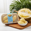 Durian ドリアン リーシックス