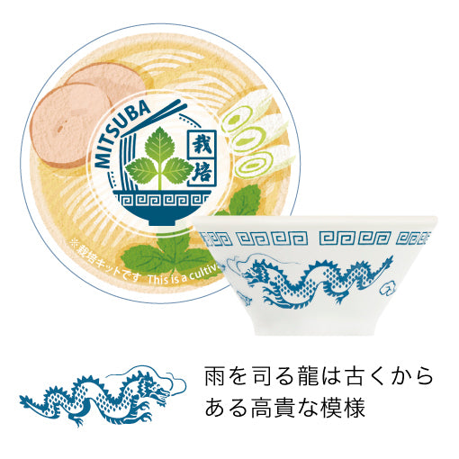 ラーメン薬味栽培キット 三つ葉