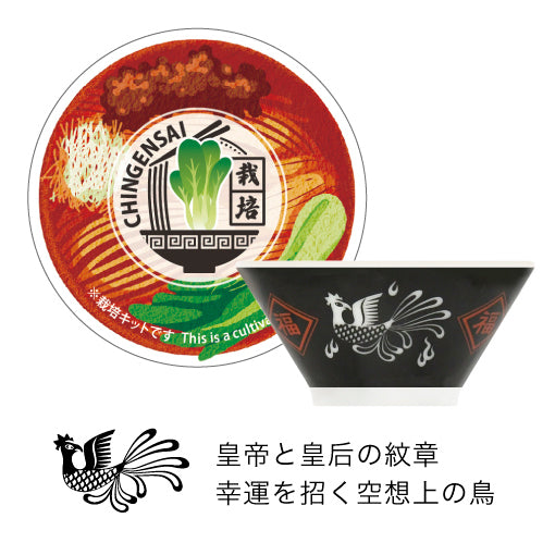 ラーメン薬味栽培キット チンゲンサイ