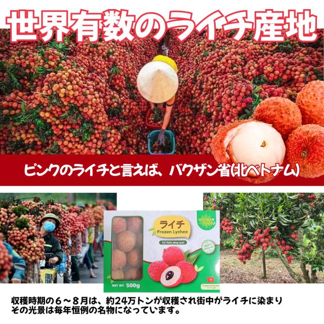 ICHIBA FOOD 冷凍ライチ(ベトナム産) 500g