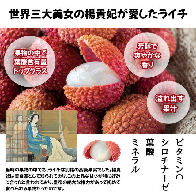 ICHIBA FOOD 冷凍ライチ(ベトナム産) 500g