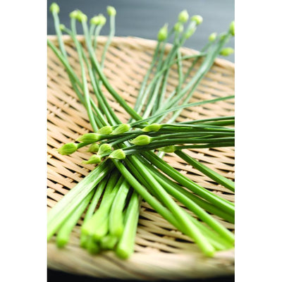 Chinese chive (from Taiwan)